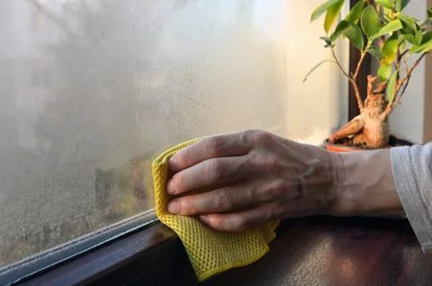 Absorb and Stop Condensation on Windows Stock Photos