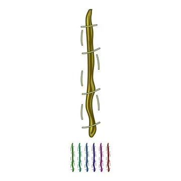 Absorbable suture cartoon vector graphic Stock Illustration