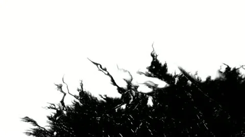 Absorbs ink paint. Stock Footage 21357028