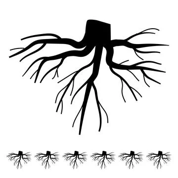 Absorption tree root cartoon vector graphic Stock Illustration