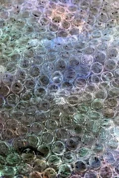 Absract background of shiny plastic and bubbles dreating bright sci-fi styl.. Stock Photos