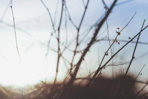 Abstact Background Stock Photos