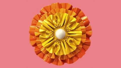 Abstarct flower loop Stock Footage 309649126