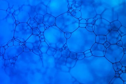 Abstarct network structure on blue background Stock Photos