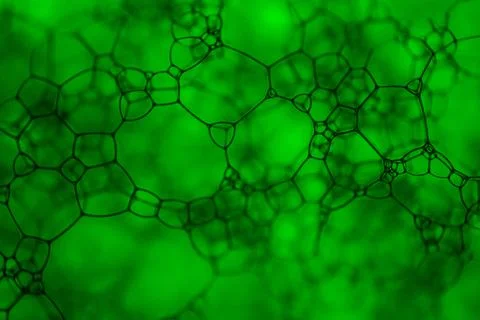 Abstarct network structure on green background Stock Photos