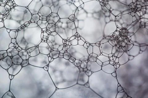 Abstarct network structure on white background Stock Photos