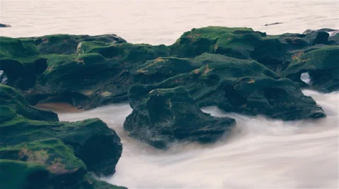 Abstmoss Covered Rocks Stock Footage 35271412