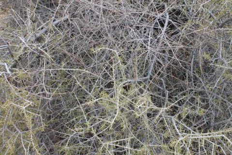 Abstrabc Stockfoto's