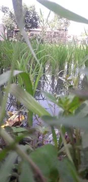 Abstrack Stock Photos