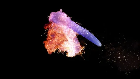 Abstract 3D animation. Dancing fire flame. Video stock 290927012