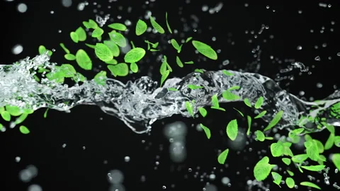 Abstract 3D animation of flying green mint leaf with crystal water. Close up Ren Video stock 131115811