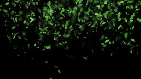 Abstract 3D animation of flying green leaf. Video stock 156002025