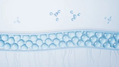 Abstract 3d animation of molecular interaction with skin layers, showing ce.. 스톡 동영상 327114417