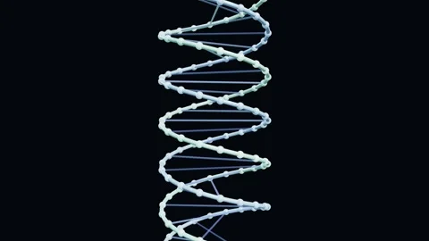 Abstract 3d dna double helix structure rotating seamless loop animation Stock Footage 347075883