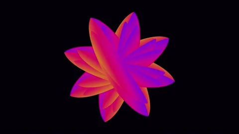 Abstract 3D Flower Shape Animation Stock Footage 344248191