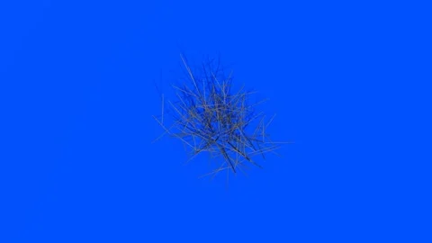 Abstract 3D Fractal Structure Floating on Bright Blue Background Stock Footage 330919518