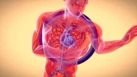 Abstract 3D illustration of a heart attack Stock Illustration
