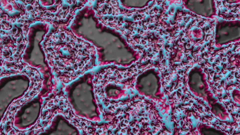Abstract 3D Neon Organic Fluid Pattern Loop with Cyan Pink and Dark Gray Texture Stock Footage 341366688