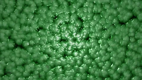 Abstract 3D Organic Slime Animation Green Stock Footage