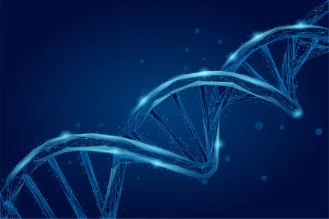 Abstract 3d polygonal wireframe DNA molecule helix spiral Illustrazione stock