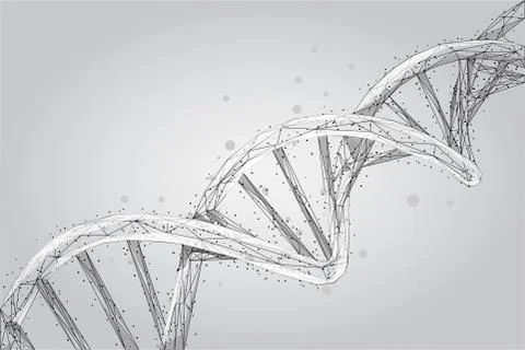 Abstract 3d polygonal wireframe DNA molecule helix spiral Stock Illustration