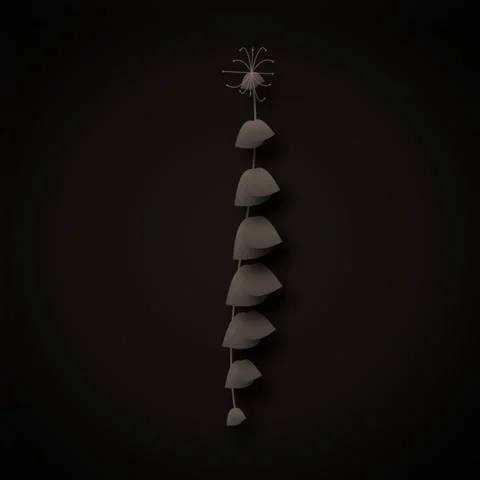 Abstract 3D Render: Delicate Spider Web with Hanging Seed Pods on Dark Back.. 库存影片 346280426