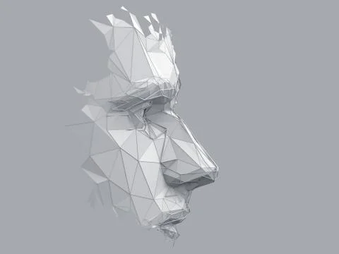 Abstract 3D Render of Polygonal Human Face Stock-Illustration