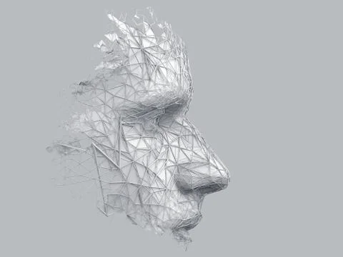 Abstract 3D Render of Polygonal Human Face Stock-Illustration