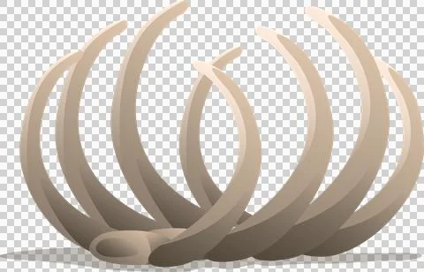 Abstract 3D-rendered beige curved petals are radiating from oval base on 스톡 일러스트