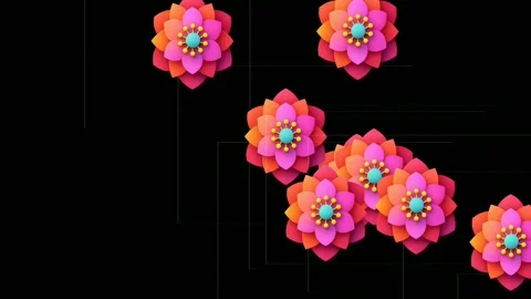 Abstract 3D Rendered Flowers with Vibrant Pink and Orange Petals on Black Stock Footage 340048176