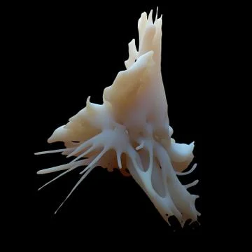 Abstract 3d rendered form. Complex deform structure. Twisted organic form.. Stock Illustration