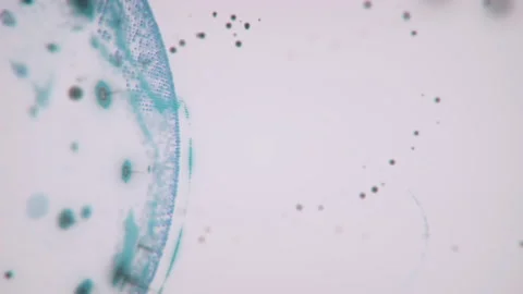 Abstract 3D rendering satellites starlink network, digital earth data globe - Stock Footage 133014229