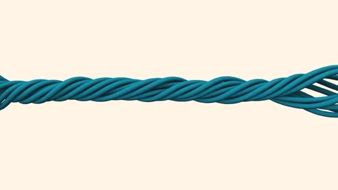 Abstract 3D ropes twisting together, blue cables intertwining on clean Stock Footage 337191999