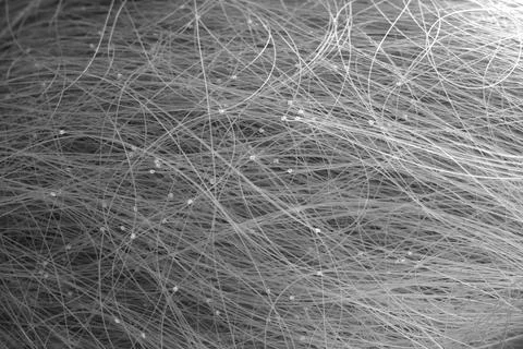 Abstract 3D shape consisting of fine lines, hairs, metal threads, entangled and Stock Photos