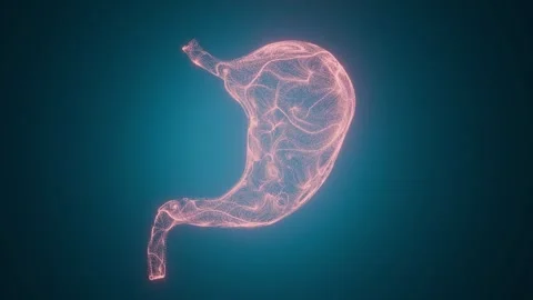 Abstract 3D stomach model made of glowing particles on dark blue background 動画素材 344606474