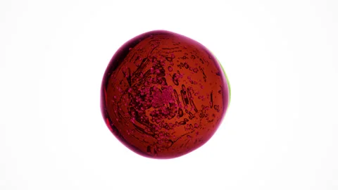 Abstract 3D Transparent Glass Spheres with Air Bubbles Orbiting Each Other Stock Footage 339634305