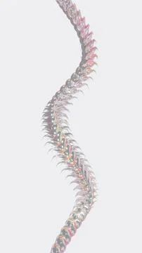 Abstract 3D vertical trendy pastel iridescent illuminated swirl snake shape Stock Illustration