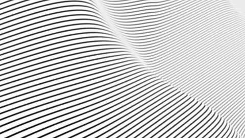 Abstract 3D White Wavy Surface Background with Black Lines Pattern Seamless Loop Stock Footage 345656232