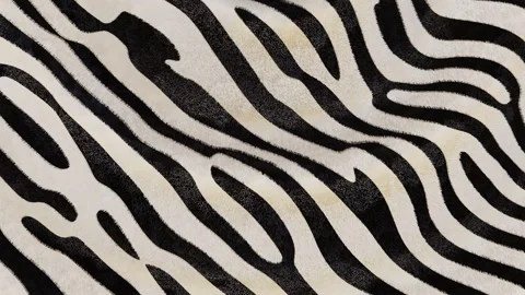 Abstract 3D zebra animal pattern fabric fur stripes horizontal background loop Stock Footage 327727063