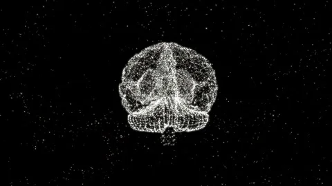 Abstract 4k video background of human brain consisting of space dust rotate on Stock Footage 121800186