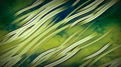 Abstract 6 Seaweed Stock Footage 33527719