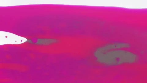 Abstract acrylic texture with colorful waves. Motion with pink and golden o.. Stock Footage 236993984