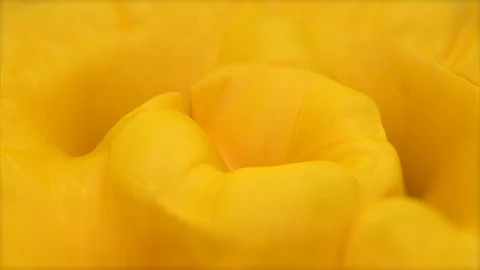  Abstract aerial background, balls falling into a yellow soft texture, 4K, 3D Stock Footage 118093285