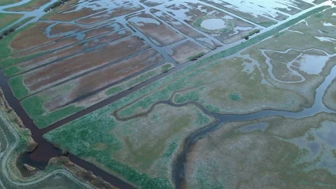Abstract aerial view of river network at Seven Sisters Country Park Video stock 124709344