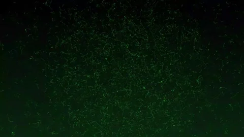 Abstract Aesthetic Glowing Shiny Random Complex Green Background Animation 4K HD Stock Footage 295033328