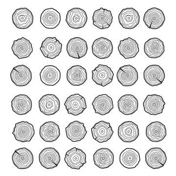 Abstract age annual circle tree background. Tree rings vector set Stock Illustration