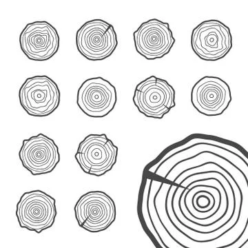 Abstract age annual circle tree background. Tree rings vector set Illustrazione stock