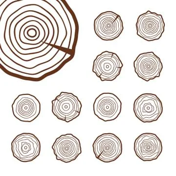 Abstract age annual circle tree background. Tree rings vector set Stock Illustration