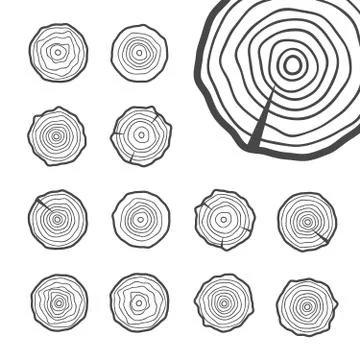 Abstract age annual circle tree background. Tree rings vector set Stock Illustration