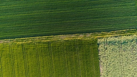 Abstract agricultural area in spring Видео 90077197